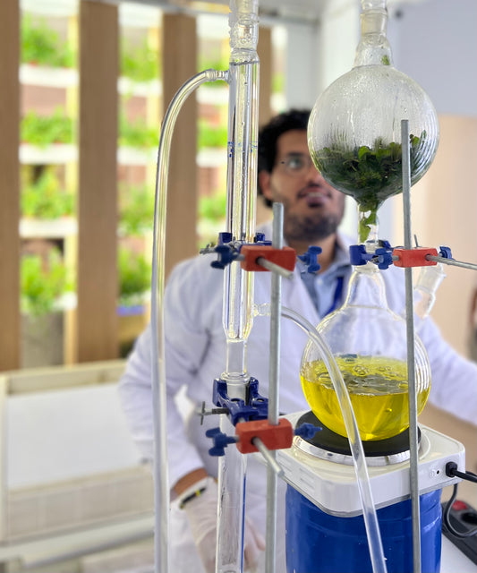 VertiCairo-Essential Oils Distillation